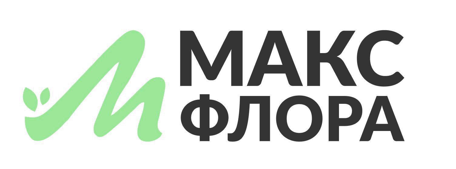 Company name